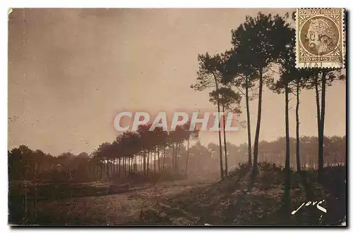 Cartes postales Bassin d'Arcachon Gironde douce matinee d'automne aux dunes dans la foret