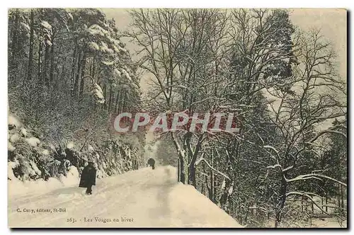 Ansichtskarte AK Les Vosges en hiver