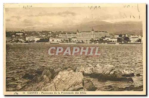 Cartes postales Cannes Panorama de la Promenade des Allies