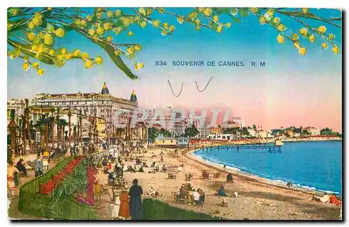 Cartes postales Souvenir de Cannes