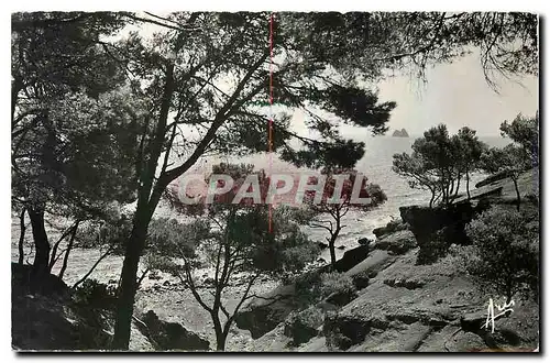 Cartes postales Cote d'Azur Calanques de Fabregas