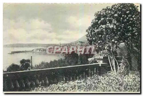 Cartes postales Menton Entre les fleurs Vue prise de Garavan