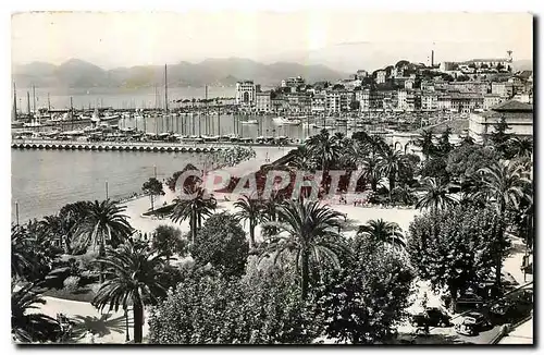 Cartes postales La Cote d'Azur Cannes Le Jardin