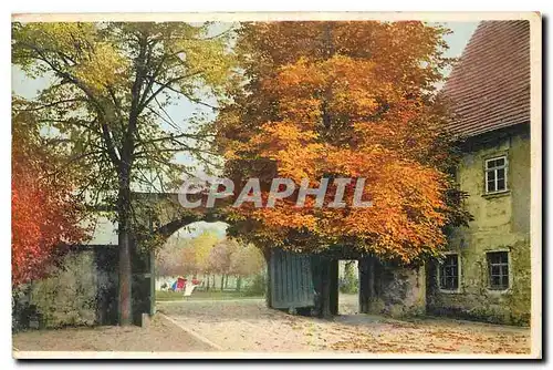 Cartes postales Maison