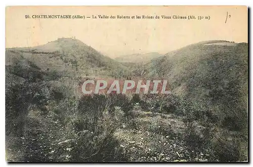Cartes postales Chatelmontagne Allier la Vallee des Roberts et les Ruines du Vieux Chateau