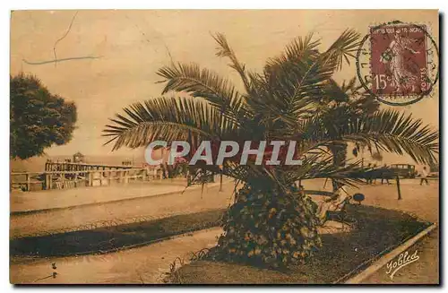 Cartes postales Arcachon Gironde Palmier du Boulevard Promenade et Debarcadere