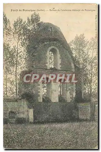 Ansichtskarte AK Foret de Perseigne Sarthe Ruines de l'ancienne Abbaye de Perseigne