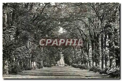 Cartes postales Le Boullay Thierry E et L l'Avenue du Chateau