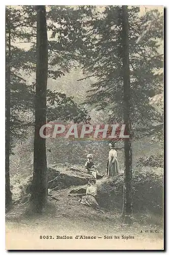 Cartes postales Ballon d'Alsace Sous les Sapins