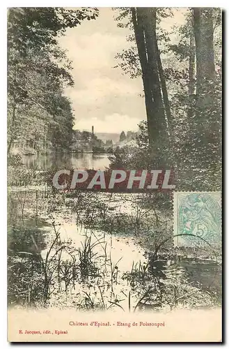 Cartes postales Chateau d'Epinal Etang de Poissonpre