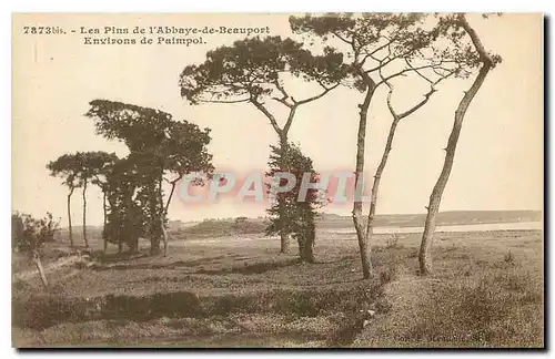 Cartes postales Les Pins de l'Abbaye de Beauport environs de Paimpol