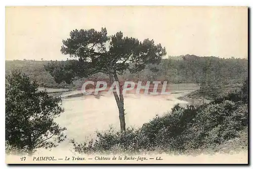 Cartes postales Paimpol le Trieux Chateau de la Roche Jagu