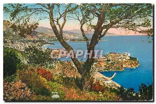 Cartes postales Principaute de Monaco vue generale