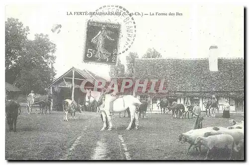 REPRO La Ferte Beauharnais L et Ch La Ferme des Iles Cheval