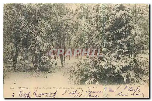 Ansichtskarte AK Paris Effet de Neige au Bois de Boulogne