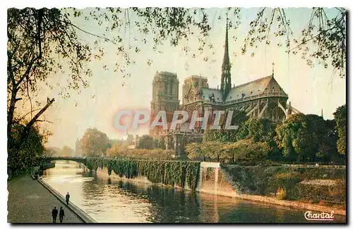 Cartes postales Paris Notre Dame