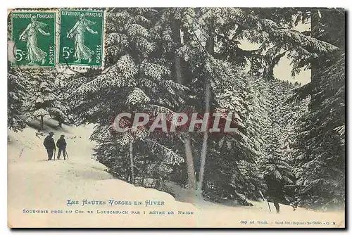 Ansichtskarte AK Les Hautes Vosges en Hiver Sous bois pres du Col de Louscurch