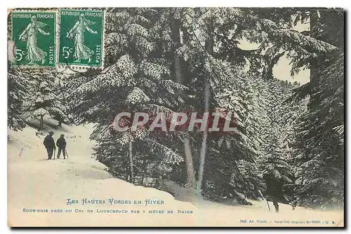 Cartes postales Les Hautes Vosges en Hiver Sous bois pres du Col de Louscurch