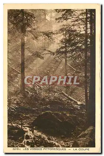 Cartes postales Les Vosges Pittoresques La Coupe