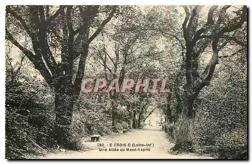 Cartes postales Le Croisic Loire Inf Une Allee au Mont Esprit