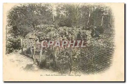 Ansichtskarte AK Foret de Fontainebleau Roch Eponge