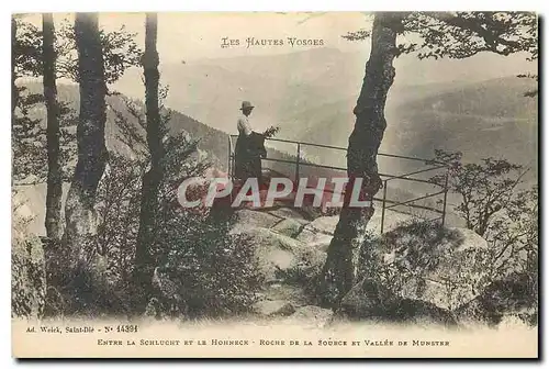 Cartes postales Les Hautes Vosges Entree la Schlucht et le Honneck Roche de la Source et Vallee