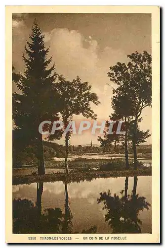 Cartes postales Thaon les Vosges Un coin de la Moselle