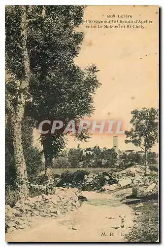 Cartes postales Lozere Paysage sur le Chemin d'Apcher entre le Malzieu et St Chely