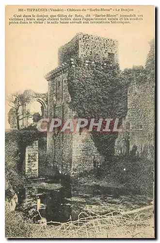 Cartes postales Tiffauges Vendee Chateau de Barbe Bleue Le Donjon