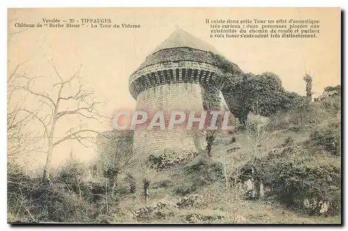 Cartes postales Vendee Tiffauges Chateau de Barbe Bleue La Tour du Vidame