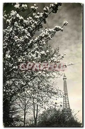 Cartes postales moderne Le Printemps a Paris Tour Eiffel