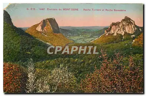 Cartes postales Environs du Mont Dore Roche Tuiliers et Roche Sanadoire