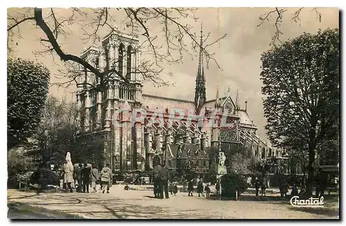 Ansichtskarte AK Paris Notre Dame vue du Square Viviani