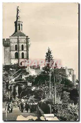 Cartes postales Avignon Cathedrale N D des Dans vue des Jardins
