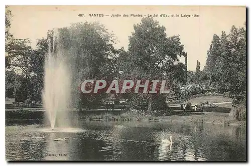 Cartes postales Nantes Jardin des Palntes Le Jet d'Eau et le Labyrinthe