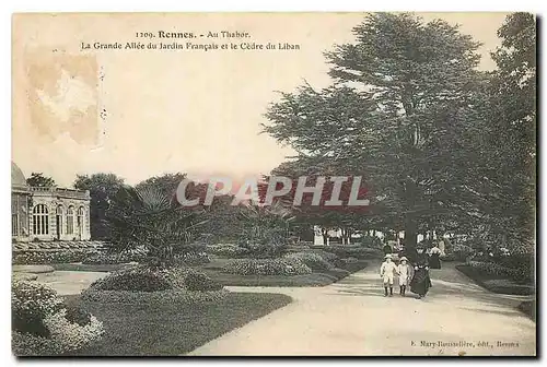 Ansichtskarte AK Rennes Au Thabor La Grande Allee du Jardin Francais et le Cedre du Liban