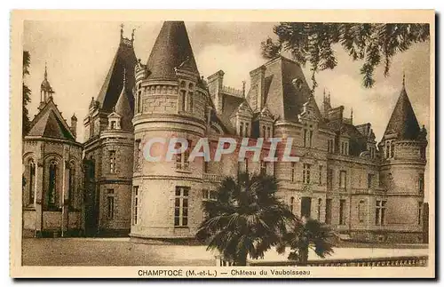 Cartes postales Champtoce M et L Chateau du Vauboisseau