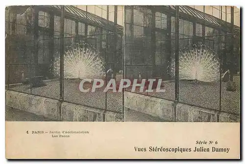 Cartes postales Paris Jardin d'Acclimation Vues Stereoscopiques Julien Damoy