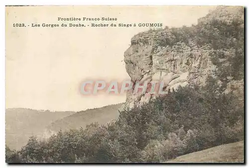 Ansichtskarte AK Frontiere Franco Suisse Les Gorges du Doubs Rocher du Singe a Goumois