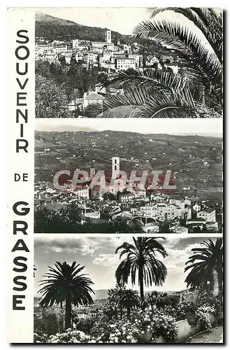 Cartes postales Souvenir de Grasse