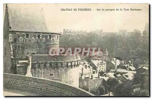 Cartes postales Vitre Fougeres Mont St Michel Chateau de Fougeres Sur le parapet de la Tour Surienne