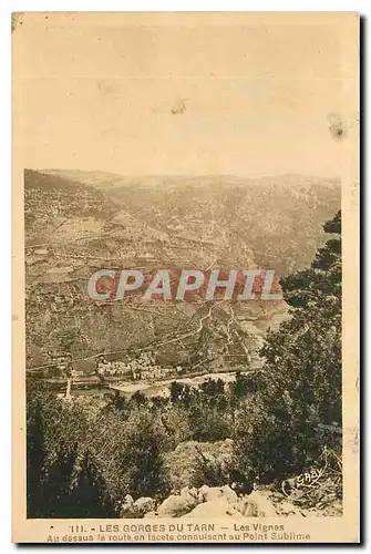 Cartes postales Les Gorges du Tarn Les Vignes au dessus la route en lacets conduisant au Point Sublime