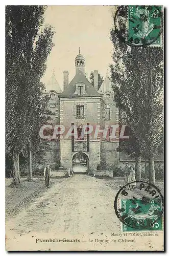 Cartes postales Flamboin Gouaix Le Donjon du Chateau