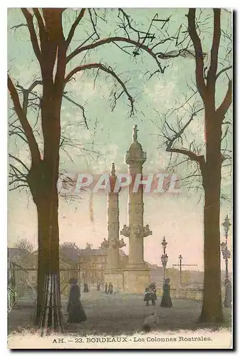 Cartes postales Bordeaux Les Colonnes Rostrales