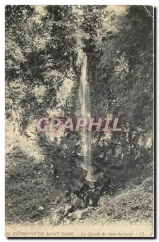 Ansichtskarte AK Environs du Mont Dore La Csacade du Saut du Loup