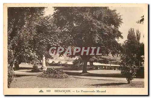 Cartes postales Besancon La Promenade Miceud