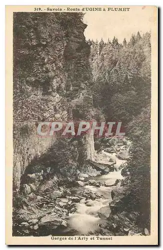 Cartes postales Gorges de l'Arly Tunnel