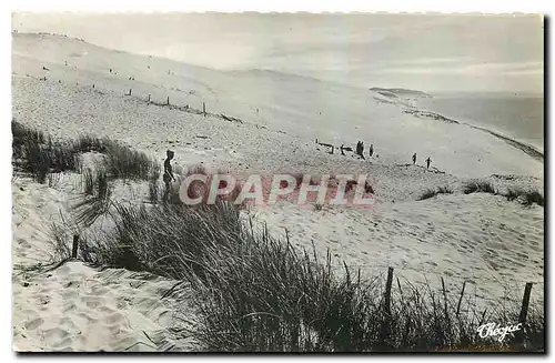 Cartes postales Bassin d'Arcachon Dune du Pilat la plus haute d'Europe