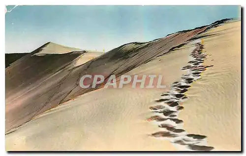 Moderne Karte Bassin d'Arcachon Pilat Plage La Grande Dune