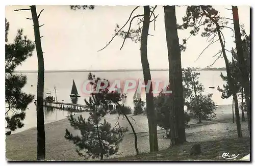 Cartes postales moderne Environs de Carcans Maubuisson Gironde La Jetee vue de la Foret